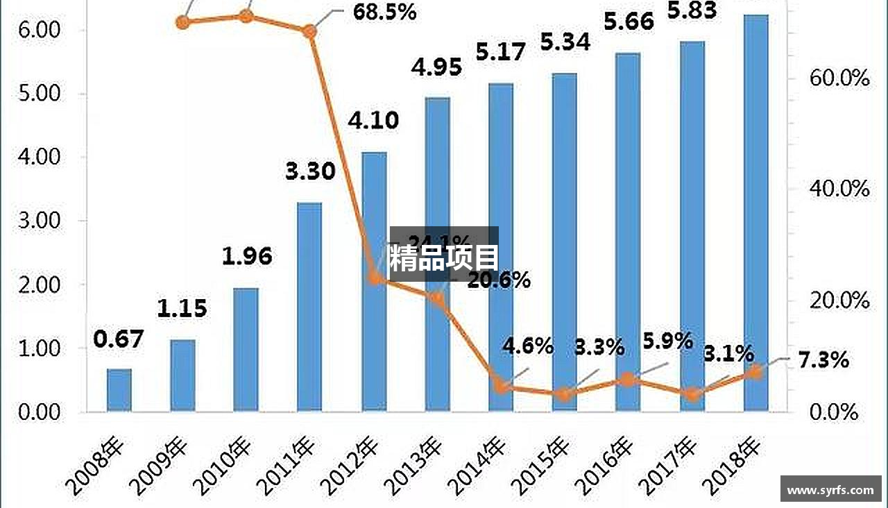 精品项目
